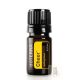 Cheer esszenciális illóolaj keverék 5 ml 
