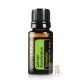Vietnami eukaliptusz 15 ml (Lemon Eucalyptus)