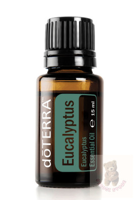 Eukaliptusz 15 ml (Eucalyptus radiata)