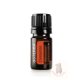 Fahéj 5 ml (Cinnamon)