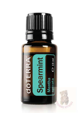 Fodormenta 15 ml (Spearmint)