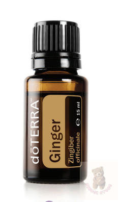 Gyömbér 15 ml (Ginger)