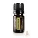 Kardamon 5 ml (Cardamom)