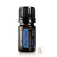 Kék Varádics 5 ml (Blue Tansy)