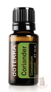 Koriandermag 15 ml (Coriander)