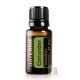 Koriandermag 15 ml (Coriander)