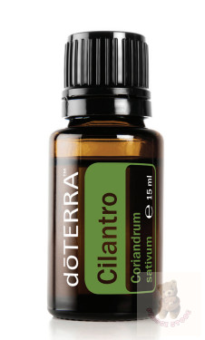 Korianderlevél 15 ml (Cilantro)