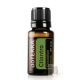 Korianderlevél 15 ml (Cilantro)