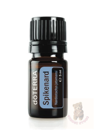 Nárdusolaj 5 ml (Spikenard)