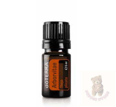 Óriás tuja 5 ml (Arborvitae)