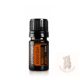 Óriás tuja 5 ml (Arborvitae)