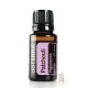 Pacsuli 15 ml (Patchouli)