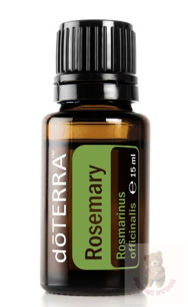 Rozmaring 15 ml (Rosemary)