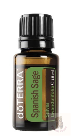 Spanyol zsálya 15 ml (Spanich Sage)
