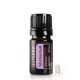 Tulsi Szent bazsalikom 5 ml (Holy Basil)